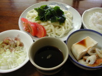 昼食は冷やしうどん